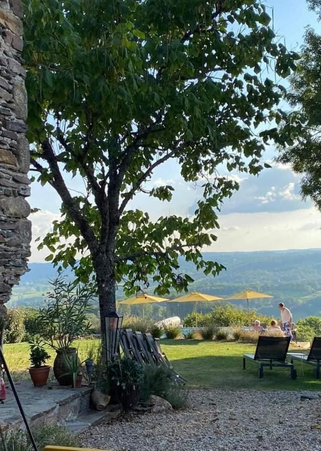 La Maison Bleue Juillac  Екстер'єр фото